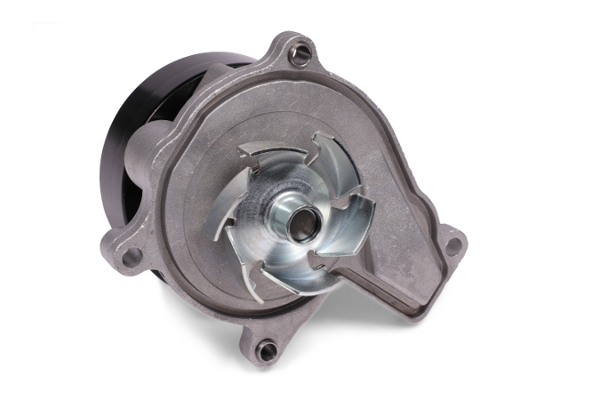 Hepu P436 Waterpomp